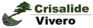 Crisalide Vivero, Bonkey Logo